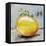 Abstract Kitchen Fruit 1-Jean Plout-Framed Stretched Canvas