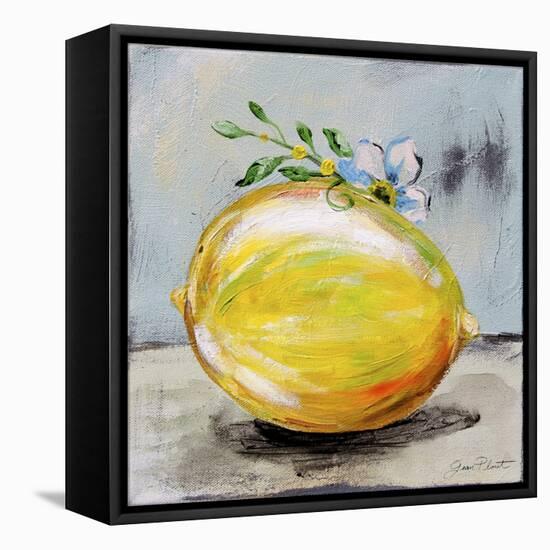 Abstract Kitchen Fruit 1-Jean Plout-Framed Stretched Canvas