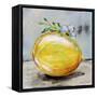 Abstract Kitchen Fruit 1-Jean Plout-Framed Stretched Canvas