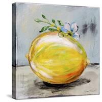 Abstract Kitchen Fruit 1-Jean Plout-Stretched Canvas