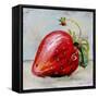 Abstract Kitchen Fruit 2-Jean Plout-Framed Stretched Canvas