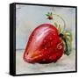 Abstract Kitchen Fruit 2-Jean Plout-Framed Stretched Canvas