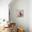 Abstract Kitchen Fruit 3-Jean Plout-Mounted Giclee Print displayed on a wall