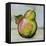 Abstract Kitchen Fruit 4-Jean Plout-Framed Stretched Canvas