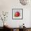 Abstract Kitchen Fruit 5-Jean Plout-Framed Giclee Print displayed on a wall
