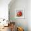 Abstract Kitchen Fruit 5-Jean Plout-Framed Giclee Print displayed on a wall