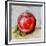 Abstract Kitchen Fruit 5-Jean Plout-Framed Giclee Print