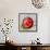 Abstract Kitchen Fruit 5-Jean Plout-Framed Stretched Canvas displayed on a wall