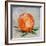 Abstract Kitchen Fruit 6-Jean Plout-Framed Giclee Print