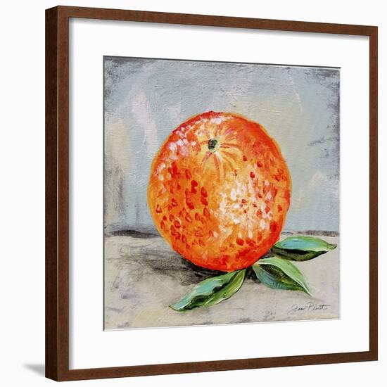 Abstract Kitchen Fruit 6-Jean Plout-Framed Giclee Print