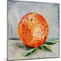 Abstract Kitchen Fruit 6-Jean Plout-Mounted Giclee Print