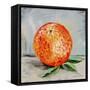 Abstract Kitchen Fruit 6-Jean Plout-Framed Stretched Canvas