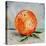 Abstract Kitchen Fruit 6-Jean Plout-Stretched Canvas