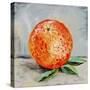 Abstract Kitchen Fruit 6-Jean Plout-Stretched Canvas