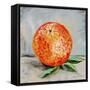 Abstract Kitchen Fruit 6-Jean Plout-Framed Stretched Canvas