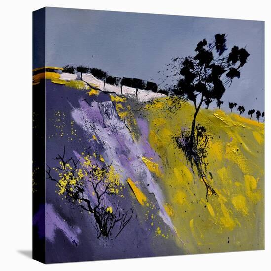 Abstract Landscape 884180-Pol Ledent-Stretched Canvas