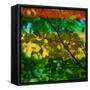 Abstract Leaf Study I-Sisa Jasper-Framed Stretched Canvas