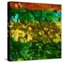 Abstract Leaf Study I-Sisa Jasper-Stretched Canvas