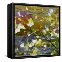 Abstract Leaf Study II-Sisa Jasper-Framed Stretched Canvas