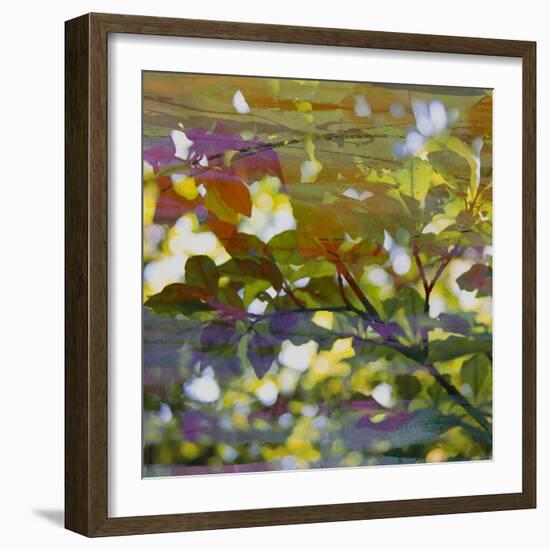 Abstract Leaf Study II-Sisa Jasper-Framed Photographic Print