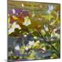 Abstract Leaf Study II-Sisa Jasper-Mounted Photographic Print
