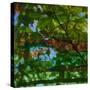 Abstract Leaf Study IV-Sisa Jasper-Stretched Canvas