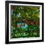 Abstract Leaf Study IV-Sisa Jasper-Framed Photographic Print