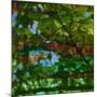 Abstract Leaf Study IV-Sisa Jasper-Mounted Photographic Print