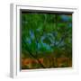 Abstract Leaf Study V-Sisa Jasper-Framed Photographic Print