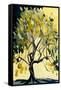 Abstract Lemon Tree Study I-Lea Faucher-Framed Stretched Canvas