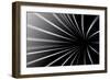 Abstract Line Black And White Background-Kheat-Framed Premium Giclee Print