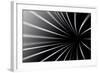 Abstract Line Black And White Background-Kheat-Framed Art Print