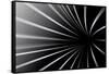 Abstract Line Black And White Background-Kheat-Framed Stretched Canvas
