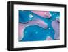 Abstract Macro Photography of Oil and Water with Color.-Dave Fauvell-Framed Photographic Print