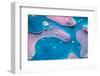 Abstract Macro Photography of Oil and Water with Color.-Dave Fauvell-Framed Photographic Print