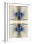 Abstract Mirror Image Background-Steve18-Framed Art Print