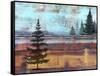 Abstract Misty Landscape With Trees-Jean Plout-Framed Stretched Canvas