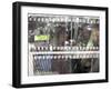 Abstract Movie-David Studwell-Framed Giclee Print