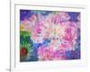 Abstract Multicolor Floral Montage Photographic Layer Work-Alaya Gadeh-Framed Photographic Print