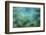 Abstract of a waterfall in greens-Sheila Haddad-Framed Photographic Print