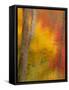 Abstract of Autumn Forest Scene, New York, Usa-Jay O'brien-Framed Stretched Canvas