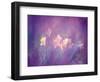 Abstract of Daffodils, New Brunswick, Canada-Charles R. Needle-Framed Photographic Print