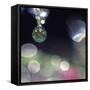 Abstract of Dew Drops on Flowers-Steve Satushek-Framed Stretched Canvas