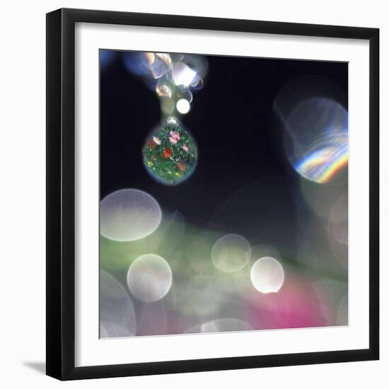 Abstract of Dew Drops on Flowers-Steve Satushek-Framed Photographic Print