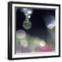 Abstract of Dew Drops on Flowers-Steve Satushek-Framed Photographic Print