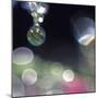 Abstract of Dew Drops on Flowers-Steve Satushek-Mounted Photographic Print