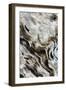 Abstract of Driftwood on the Beach, Jekyll Island, Georgia, USA-Joanne Wells-Framed Premium Photographic Print