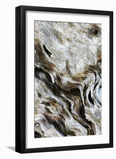 Abstract of Driftwood on the Beach, Jekyll Island, Georgia, USA-Joanne Wells-Framed Photographic Print