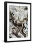 Abstract of Driftwood on the Beach, Jekyll Island, Georgia, USA-Joanne Wells-Framed Photographic Print