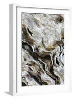 Abstract of Driftwood on the Beach, Jekyll Island, Georgia, USA-Joanne Wells-Framed Photographic Print